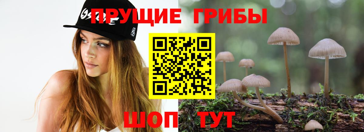Псилоцибиновые грибы Cubensis  Псилоцибиновые грибы MAGIC MUSHROOMS  Кумертау  Вход с VPN 